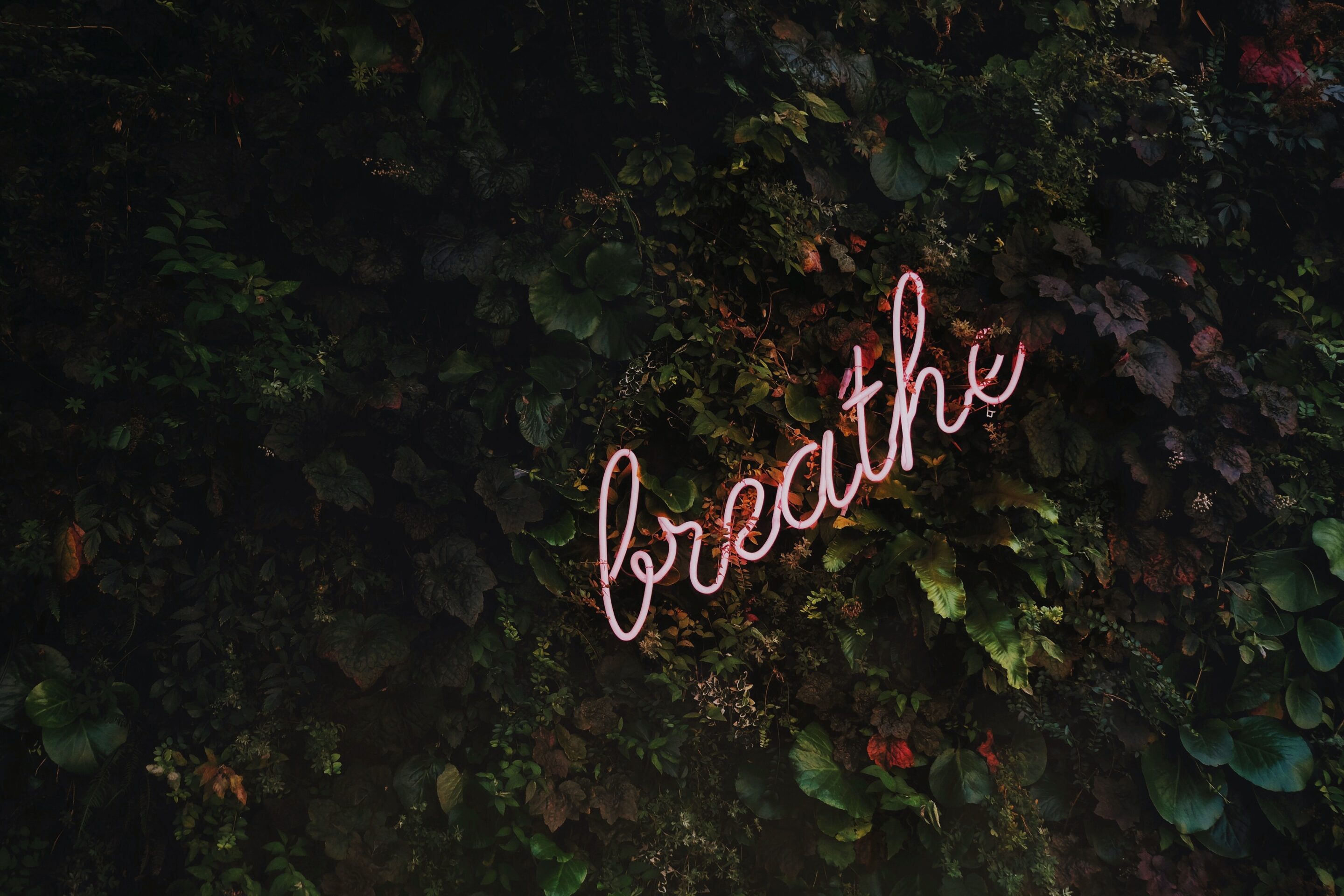 Breathe. It's a critical part of stress relief!