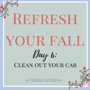 Refresh Your Fall Day 6- Clean out Your Car