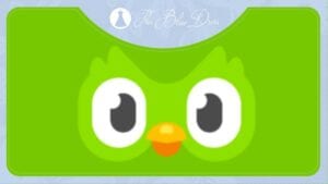 Duolingo app image