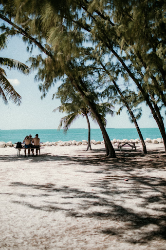 a group of people has a picnic at a picnic table at the beach